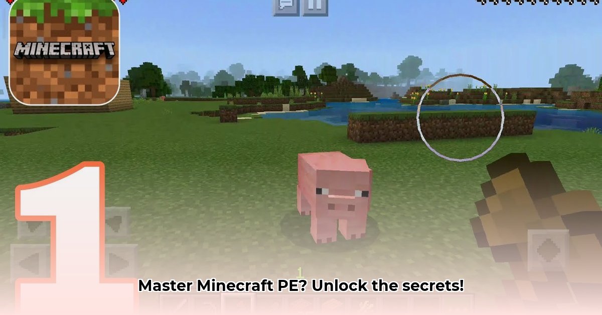 gameplay-minecraft-pocket-edition